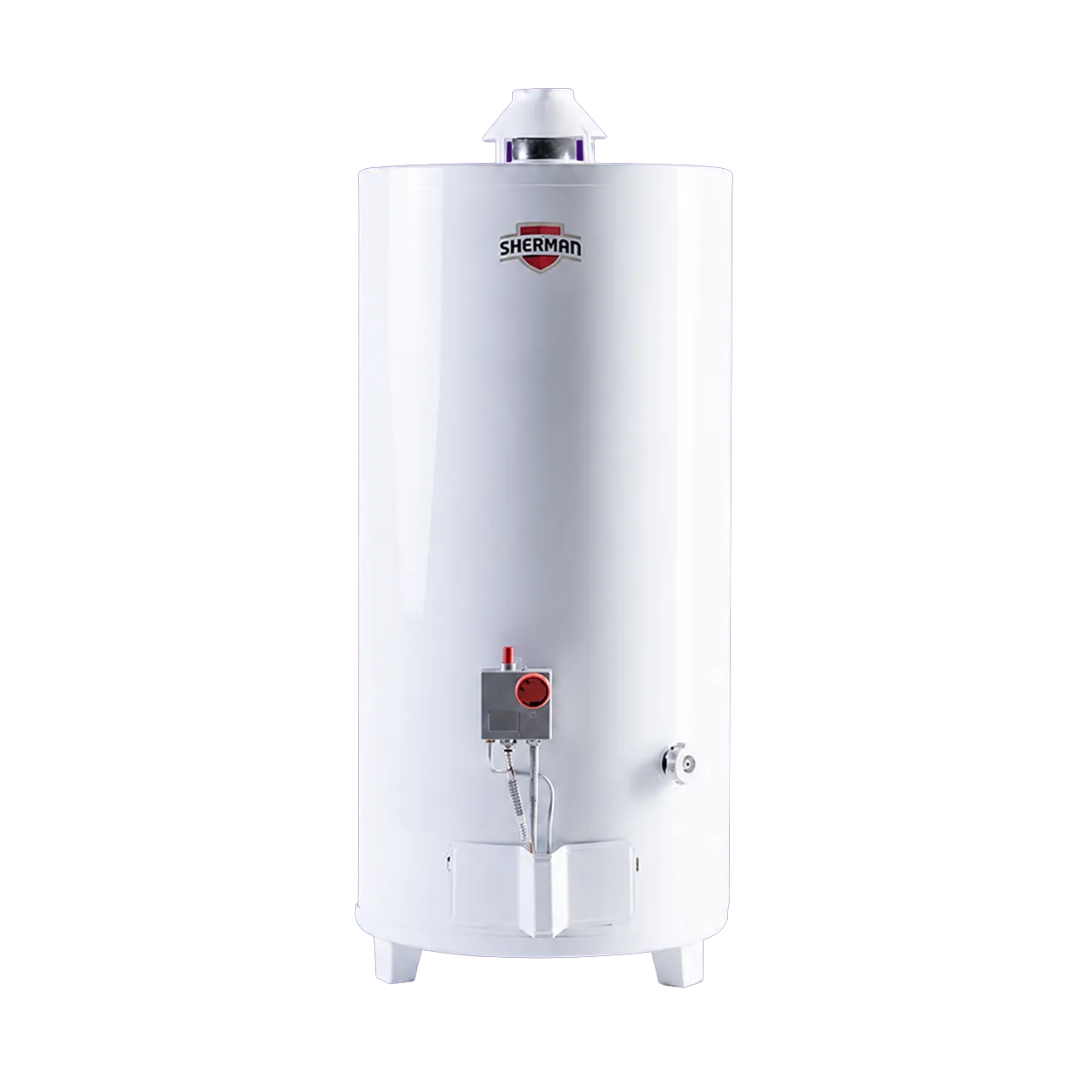 Termotanque a gas de pie 80 L